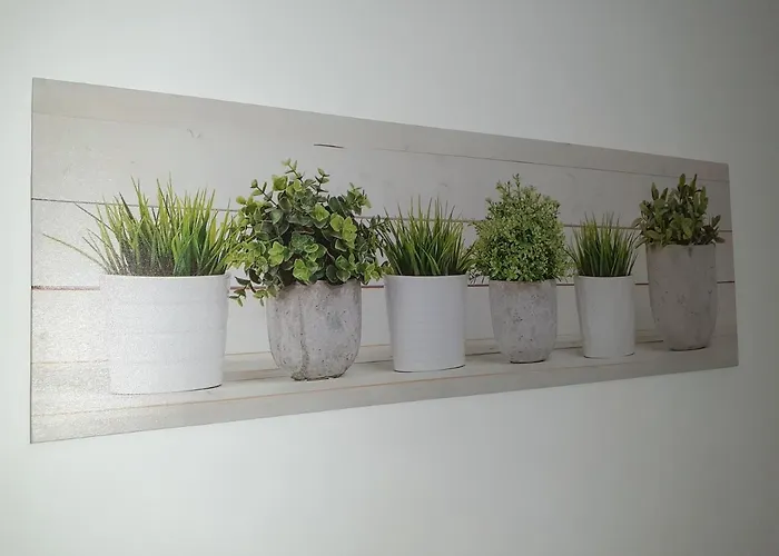 Casa Tavio 6 Casa Tavio 7 Lägenhet