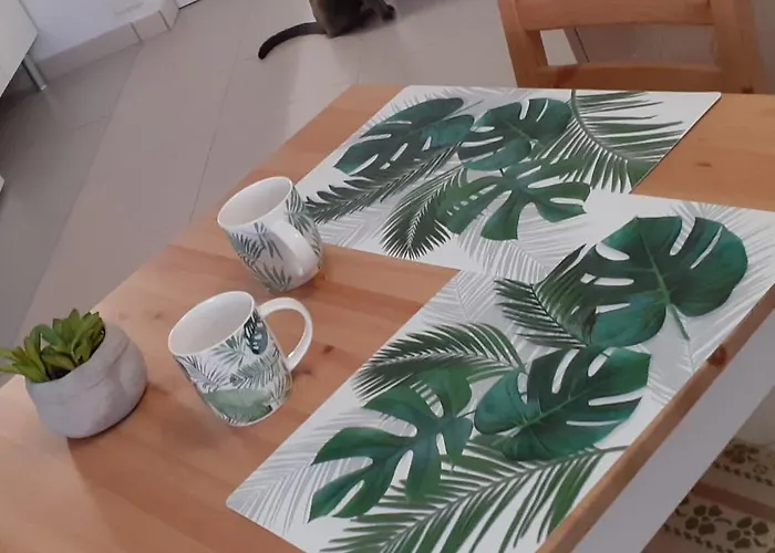 Casa Tavio 6 Casa Tavio 7 *