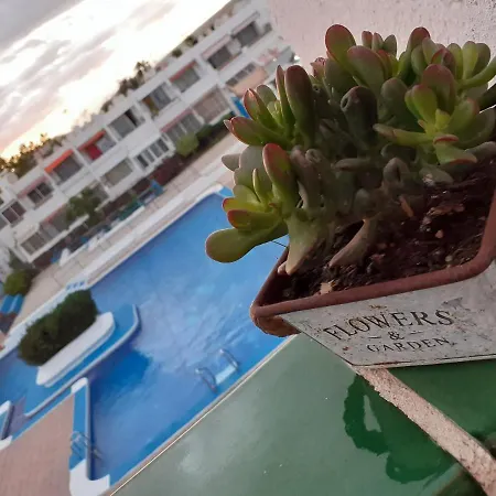 Casa Tavio 6 Casa Tavio 7 Lejlighed *